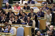 Global press impressed by Vietnam’s high votes at UNSC