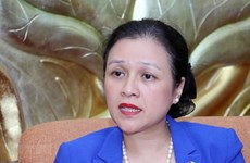 UNSC non-permanent seat brings cooperation chances for Vietnam: diplomat
