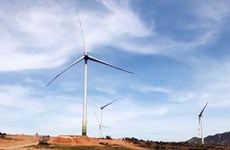 Vietnam needs stable legal framework for wind power: workshop