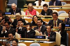 Vietnam’s election to UNSC proves its prestige on int’l arena