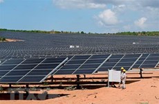 Solar power plant becomes operational in Ninh Thuan 