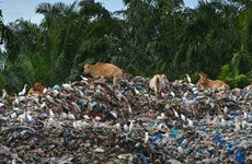 Indonesia returns five containers of trash to US