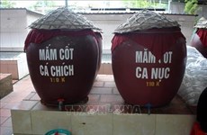 Fish sauce making brings prosperity to Thanh Hoa province