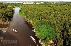 Solutions sought for Mekong Delta’s sustainable development 