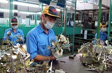 Belgian programme supports projects on developing Vietnam