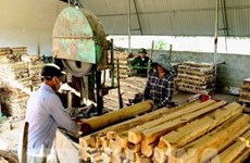 Forestry product exports jump nearly 20 percent in year’s first half