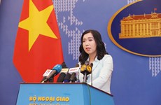 Spokeswoman makes clear Vietnam’s views on trade fraud, sea-related issues