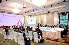 ASEAN nations agree to jointly bid for World Cup 2034