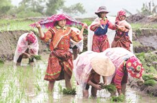 Ha Giang's remote commune to develop eco-toursim