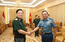 Vietnam, Indonesia launch first defence dialogue