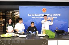 Vietnam makes active contributions to ASEAN Festival Day in South Africa
