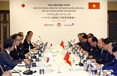Vietnam welcomes high-quality projects from Japan: PM