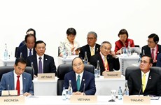 Deputy FM: Prime Minister’s Japan visit a success 