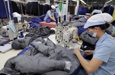 Apparel sector urged to develop supporting industry to optimise EVFTA