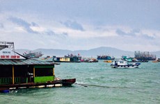Quang Ninh evacuates tourists from islands ahead of Typhoon Mun’s arrival