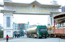 Trade through Lao Cai international border gate goes down 