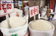 Cambodia’s rice export to China up 66 percent in 6 months