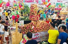 Binh Thuan’s dragon fruits promoted in Hanoi