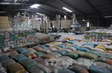 Kien Giang’s exports fall short of expectation
