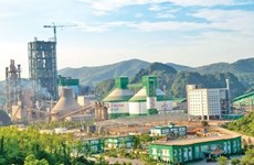 Cement sector expected to continue growth