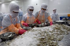 Seafood exports nears 4 billion USD in first half