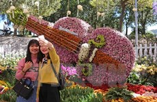 Da Lat flower festival to run in December