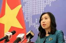 Vietnam resolved to fight violations of its sea areas: spokeswoman