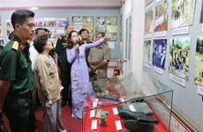 Exhibition on Agent Orange pains opens in Gia Lai