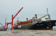 Vinh Tan int’l sea port welcomes first foreign vessel