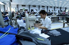 Firms have high hopes on EVFTA