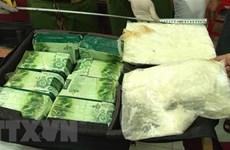 Nam Dinh police bust nearly 13,000 drug trafficking cases in decade