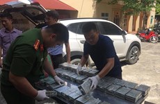 Hoa Binh police bust trafficking of 100 heroin bricks
