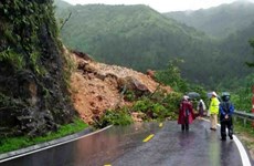 Vietnam loses 860 million USD to natural disasters last year