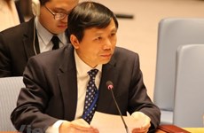 Vietnam calls on NAM to keep promoting adherence to int’l law