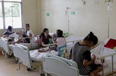 Philippines, Thailand work to tackle dengue fever outbreaks