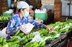 Over 491 million USD invested in processing farm produce in H1 