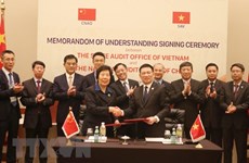 Vietnam steps up international audit cooperation
