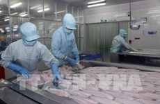 Tra fish firms report sharp rises in second quarter earnings