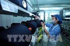 FDI in Dong Nai tops 1.14 bln USD in seven months 