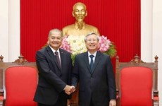 Party official: Vietnam does best to foster ties with Laos 