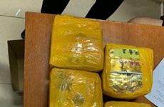 Two drug cases uncovered in Hanoi 
