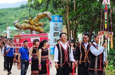 Third Ngoc Linh ginseng festival opens in Quang Nam 