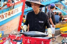 Kien Giang strives to crack down IUU fishing