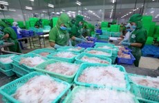 US remains largest importer of Vietnam in seven months