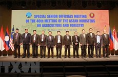 ASEAN forges cooperation in agriculture, forestry 