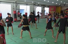 Second Vietnam int’l traditional martial arts festival kicks off in Bi