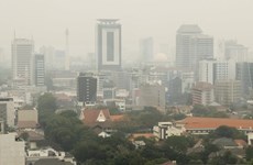 Indonesia curbs private cars to cut air pollution  