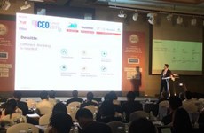 Vietnam CEO Summit 2019 held in Hanoi 
