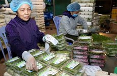 Vietnam takes measures to prevent trade frauds 