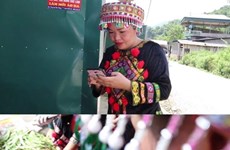 Bac Kan’s ethnic women sell local products online